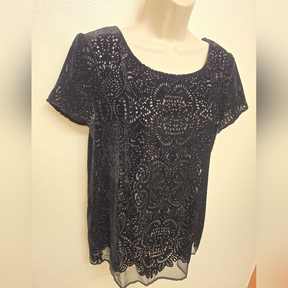 EUC Loft black Velvet Burnout Lace Short Sleeve Blouse - Picture 2 of 5